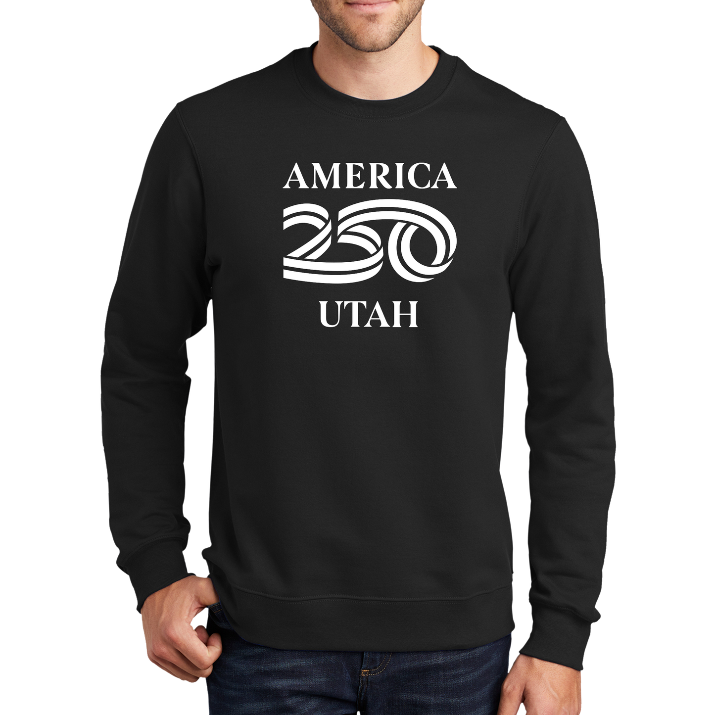 Port & Company® Fan Favorite™ Fleece Crewneck Sweatshirt