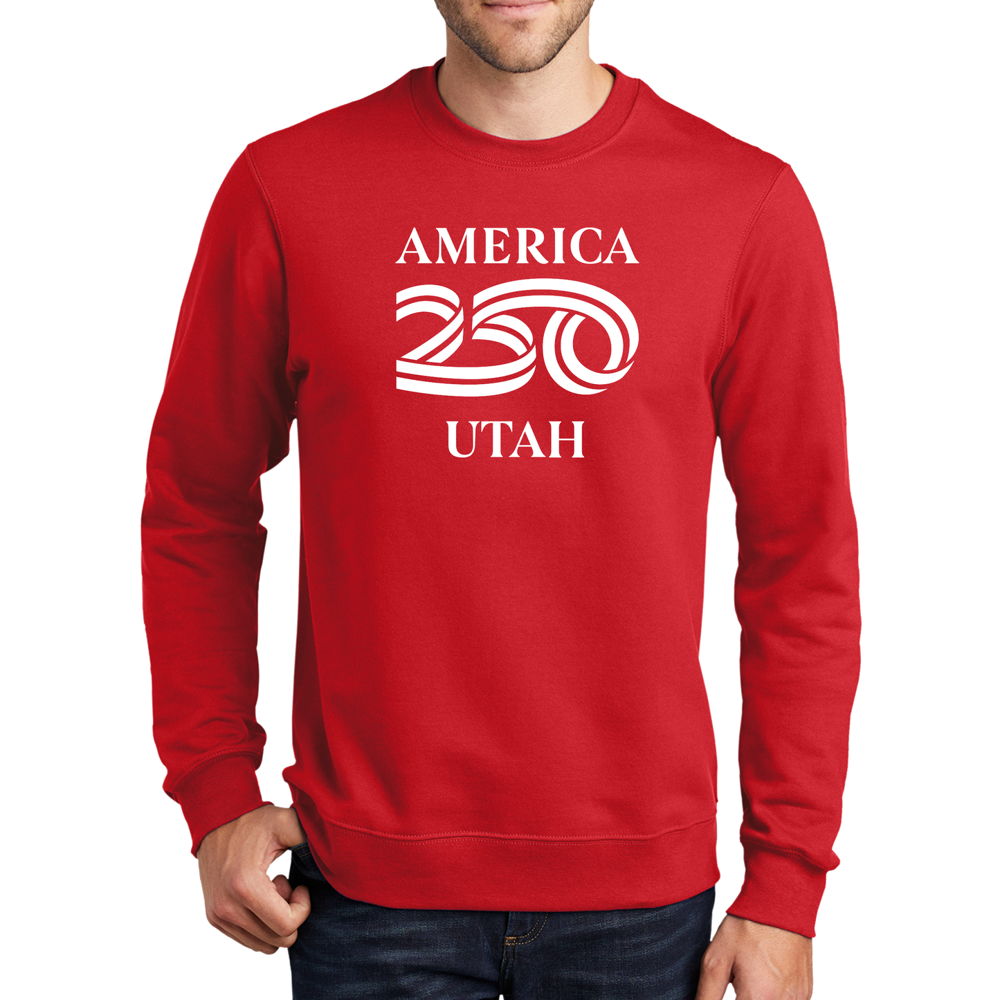 Port & Company® Fan Favorite™ Fleece Crewneck Sweatshirt