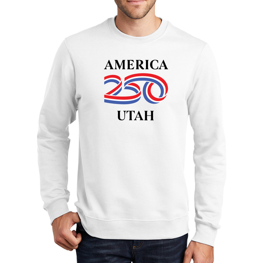 Port & Company® Fan Favorite™ Fleece Crewneck Sweatshirt