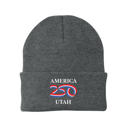 Port Authority® Knit Cap