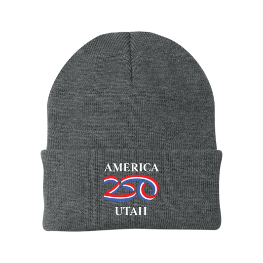 Port Authority® Knit Cap