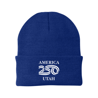 Port Authority® Knit Cap