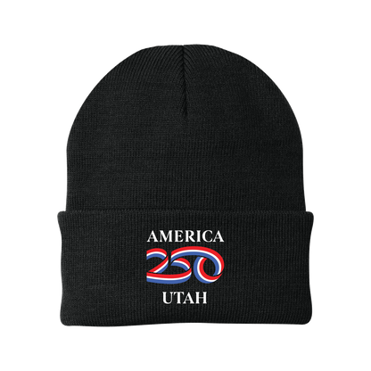 Port Authority® Knit Cap