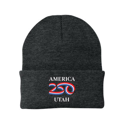 Port Authority® Knit Cap