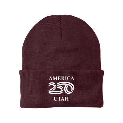 Port Authority® Knit Cap