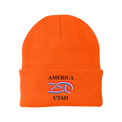 Port Authority® Knit Cap
