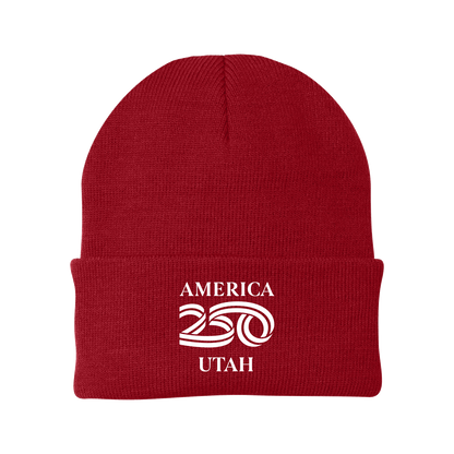Port Authority® Knit Cap