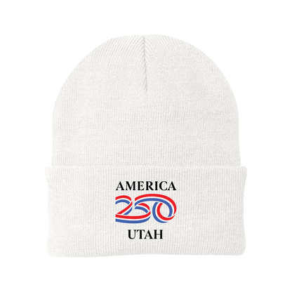 Port Authority® Knit Cap